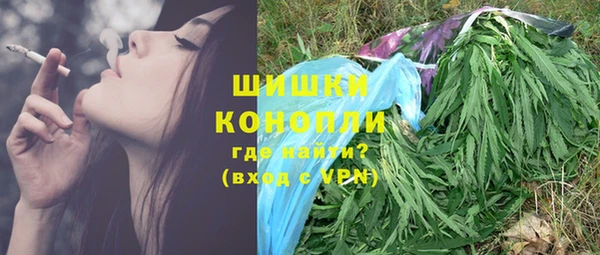 винт Вяземский