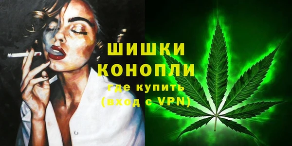 амф Горнозаводск