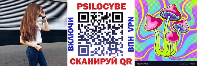 Псилоцибиновые грибы Psilocybine cubensis Елабуга